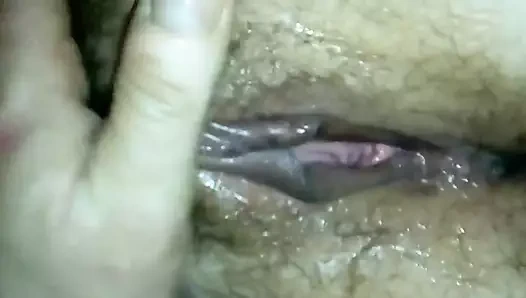 Kel saat, sakallı kedi