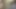 Mısırlı Sharmota Arab