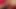 Seksi orta yaşlı seksi kadın genç amcığını oynuyor ve sikişiyor