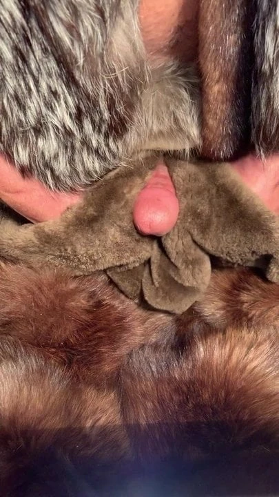 Tilki kürkü pantolonu ve cummed kunduz kürkü