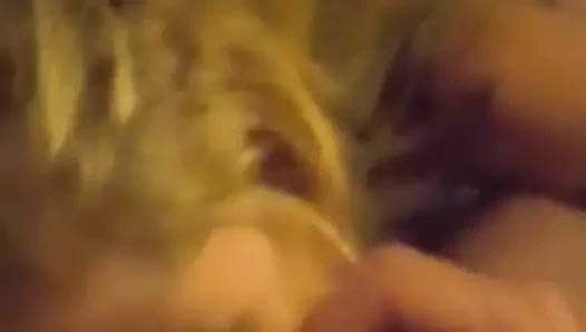 yüz bölüm 2 inilti için boşalmak