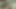 18 twink kampçıda ilk handjob alır