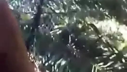 png liklik kapis kisme binmek lon bush oldu