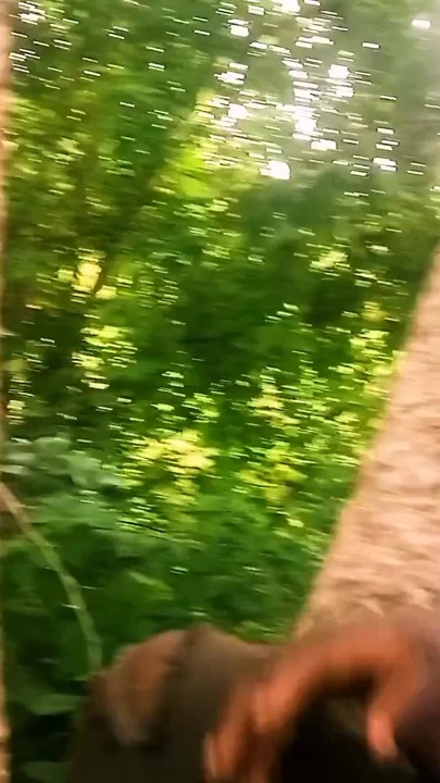Öğleden sonra seks | Klip 1