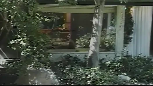 Kızlar sadece kızları sevmek istiyor — bölüm 1