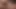 Lasublimexxx edepsiz genç erkek avcısı Anastasia Devine ve büyük yarak