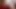 Pornstarplatinum sapıkça kadife engerek kedi solo için oyuncaklar kullanır