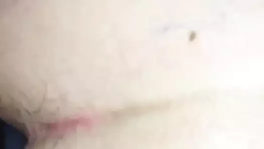 Eyersiz sikme kremsi kedi