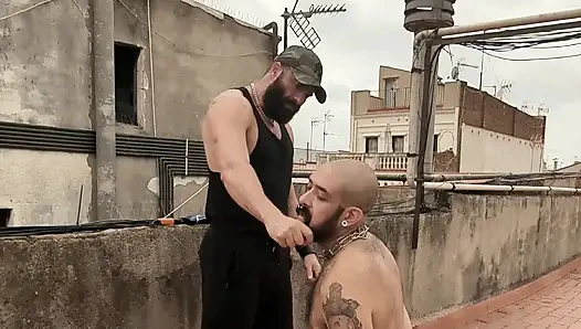 Sakallı ustanın kıllı bir domuz kölesi var ve başını tıraş ediyor.