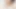 WildLife Game Sex Montage Adult 18+