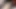 solo sevgilim, dayana olduğunu oynuyor onu traş KEDİ içinde 4k
