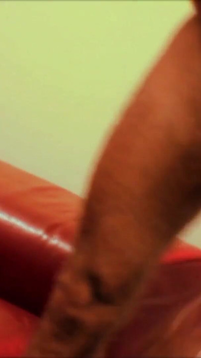 Şehvetli jane seksi bir aşçıdır ve o sevimli siyah milf arkadaşı ile bir ırklararası dörtlü vardır | Klip 2