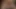 00001Ellie Bee
