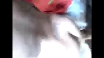 mi on gwo coucoune miiii!!!