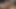 Kendi mastürbasyon videolarımdan birini izlerken cumming