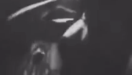 William kontrol dansı