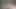 Begging for your cum! A joi for superior daddies!