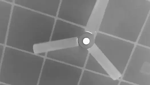 Aluthin gamata apu okulu efendim...   sinhala wal katha