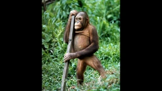 eğlenceli seks testi