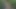 Dövmeli Kıllı Kaslı Babam Beni Dışarıda Doğuruyor