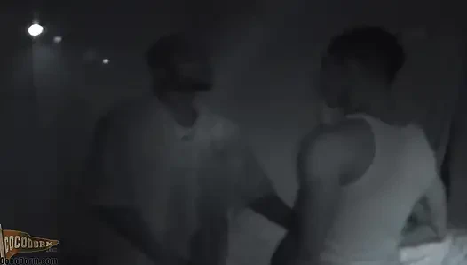 Domino Yıldızı + Markell