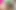 Horny Teens Get Caught Flashing Their Tits on St. Patty's Day so They Fuck Their Stepdads