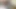 Tutku, hapishane hücresinden sizin için bir kedi şovu yapıyor