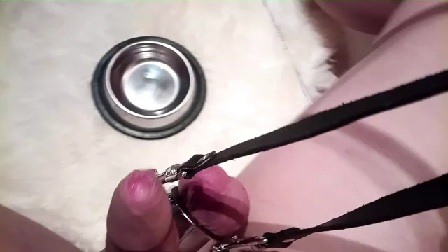 bdsm evcil hayvan oyunu