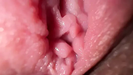 Geniş yakın çekim kedi yayılıyor ve en sıcak külotumda kirli konuşma