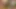 Analiz edildi - Jada Fire, Chelsie Rae ve Flower Tucci anal grup seks için yağlanıyor kısa açıklama