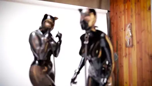 Lateks kedi yavrularıyla perde arkası