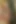 Aj Applegate in a POV Sphinctacular