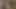 Kıvrımlı Rasta Kız Kamerada Aldatıldı