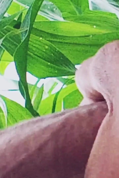 Dünya çapında trend olan desi hunk solo aksiyon bölüm 8 - premium yüzsüz amatör yakın çekim yoğun okşama seansı 4k