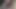 sürtünme nepalce KEDİ twinks yakın çekim