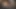 Orta yaşlı seksi kadın kaygan yarak emiyor