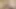 Goth Pixie Shadow Bed - Fishnet Strip to Wild Dildo Ride