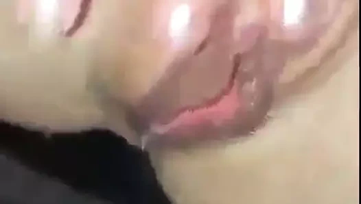 Büyük kedi damlayan meni