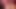 kiara mistress e i suoi video  BDSM