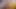 Botanist-kurye yanlışlıkla porno çekimine bindi ve dörtlü seks yapıyor