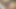Pakistanlı kız xnxx seksi kız