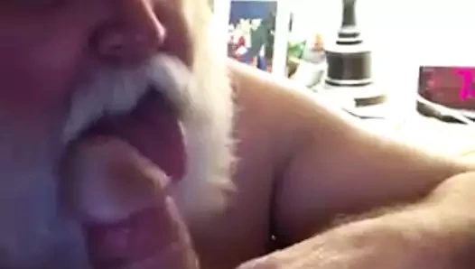 kutup ayısı emdi horoz