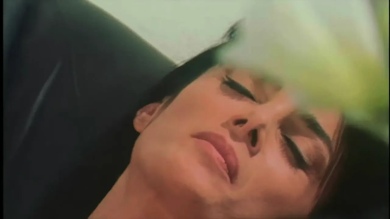 The White Venus in the Office Swallows Everything