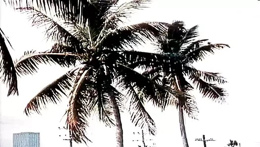 Roma İmparatoriçe 2 (720p)