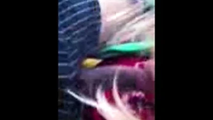 kız arkadaşım efendisi ile