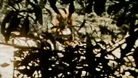 Çiller 01 (tam film)