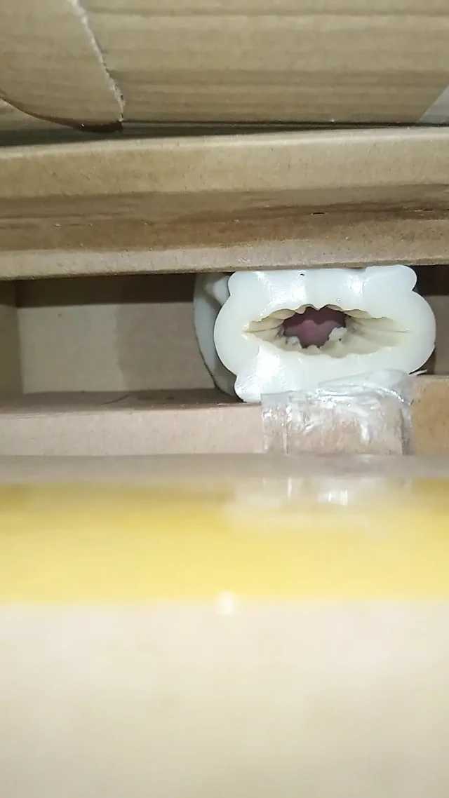 Ev yapımı silikon amın içine boşalma 2