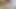 Hazuki wakamiya acut0011
