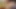 Ateşli cankurtaran Scarlett Mae dildoyla amını sikiyor