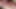 Phv_milking.xiii.1